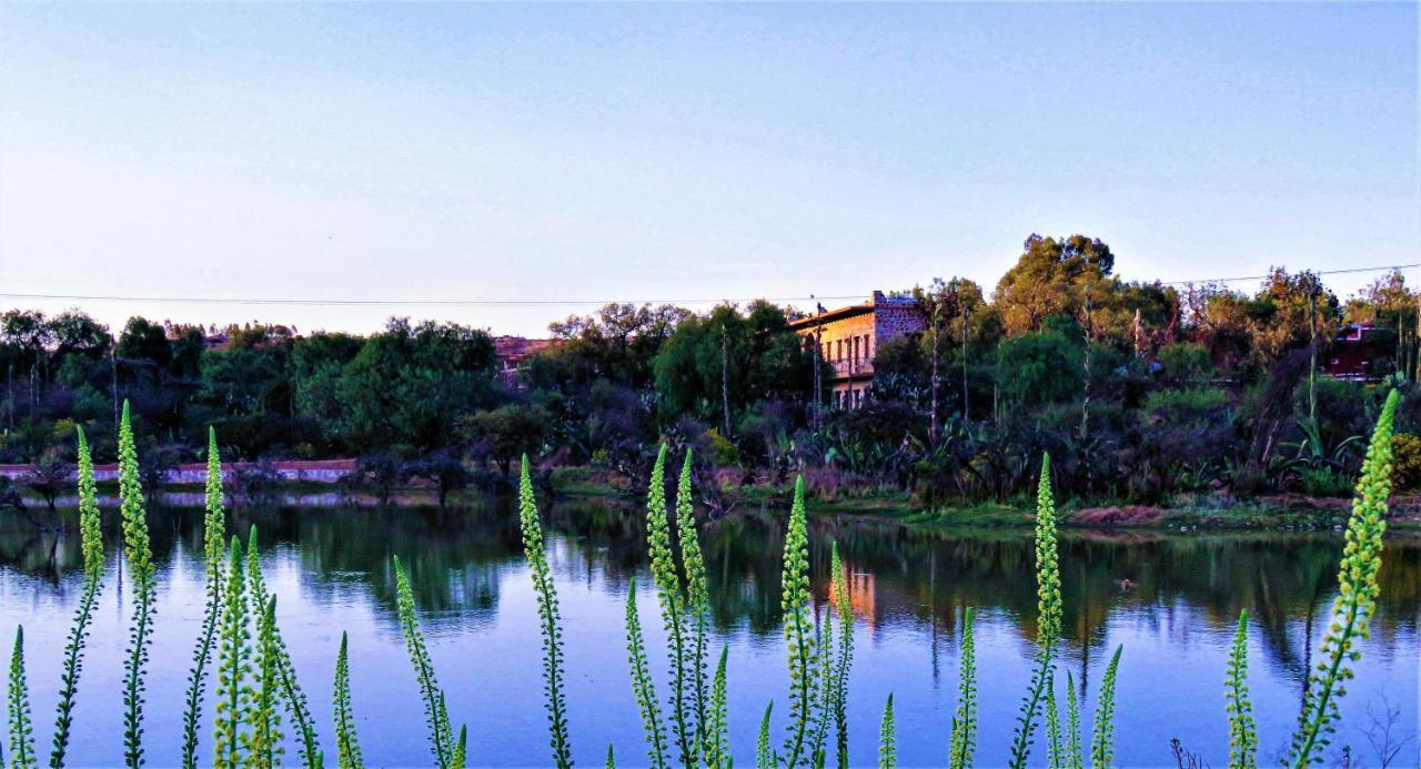 Hacienda Tovares 卡德雷塔 外观 照片