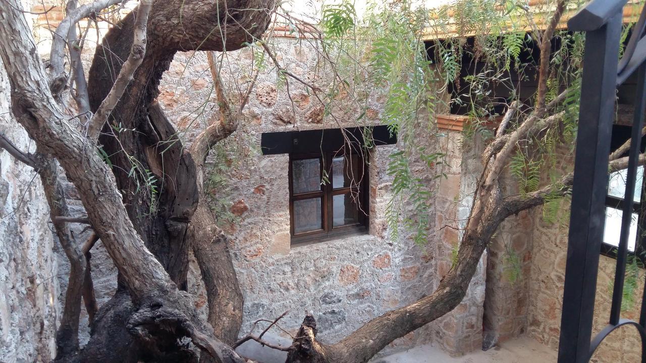 Hacienda Tovares 卡德雷塔 外观 照片