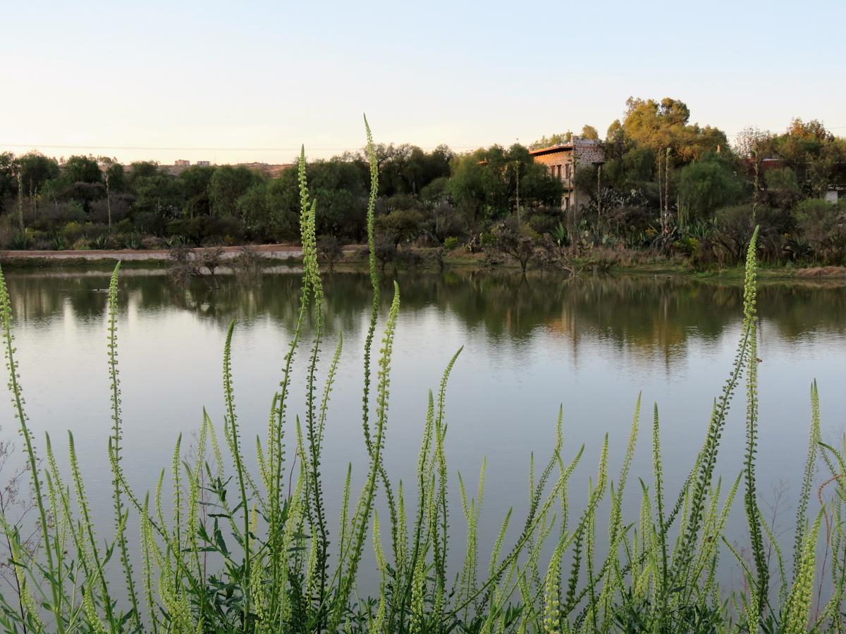 Hacienda Tovares 卡德雷塔 外观 照片